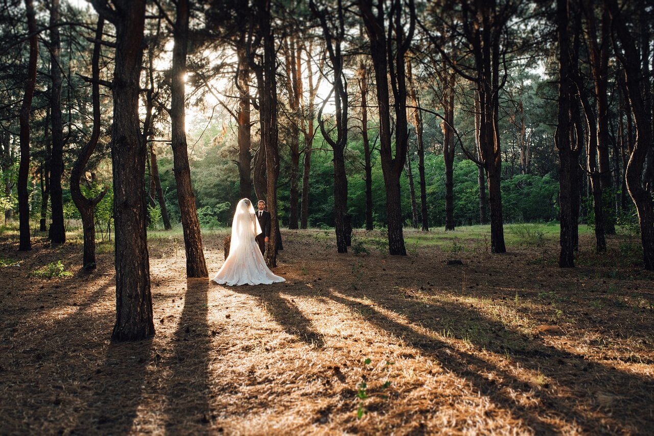 Место проведения свадьбы в лесу
