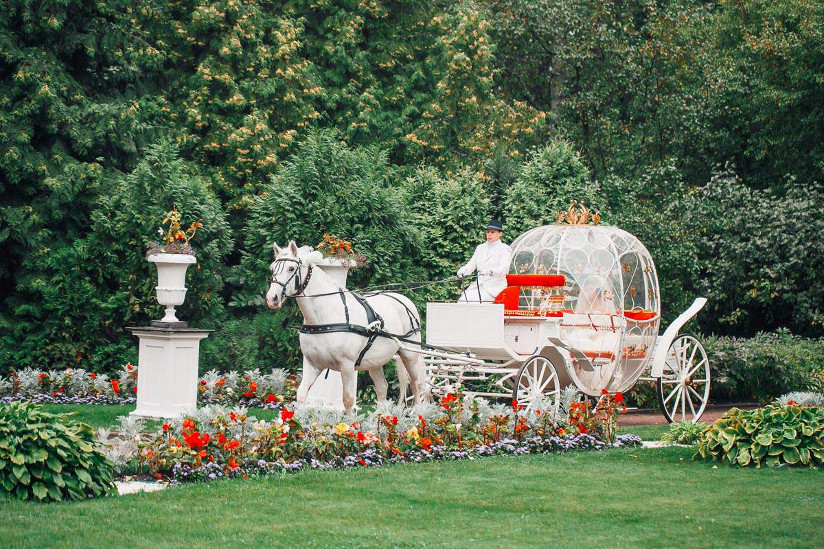Свадьба в парк-отеле "Морозовка"